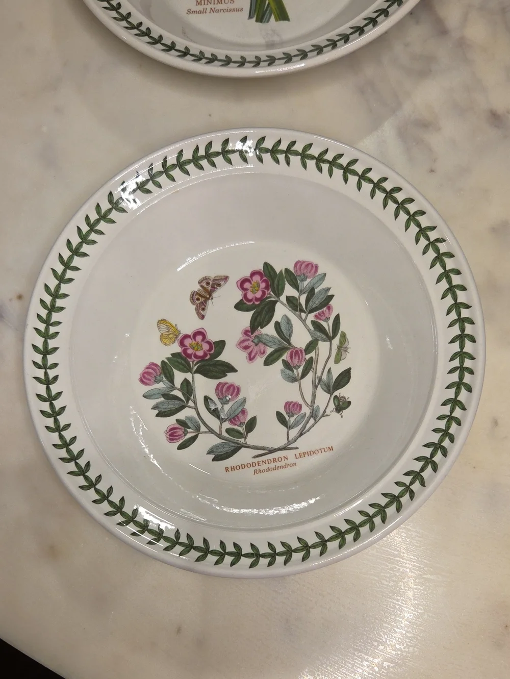 Portmeirion The Botanical Garden Salad / Pasta / Bowls (Set of 4)